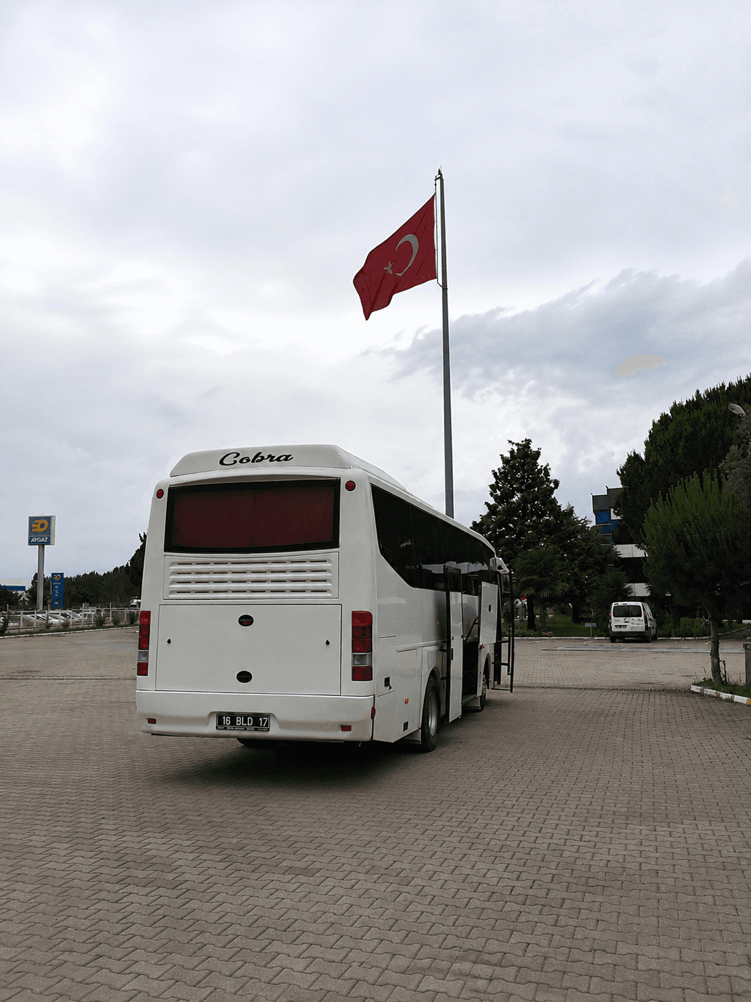 Güleryüz Cobra