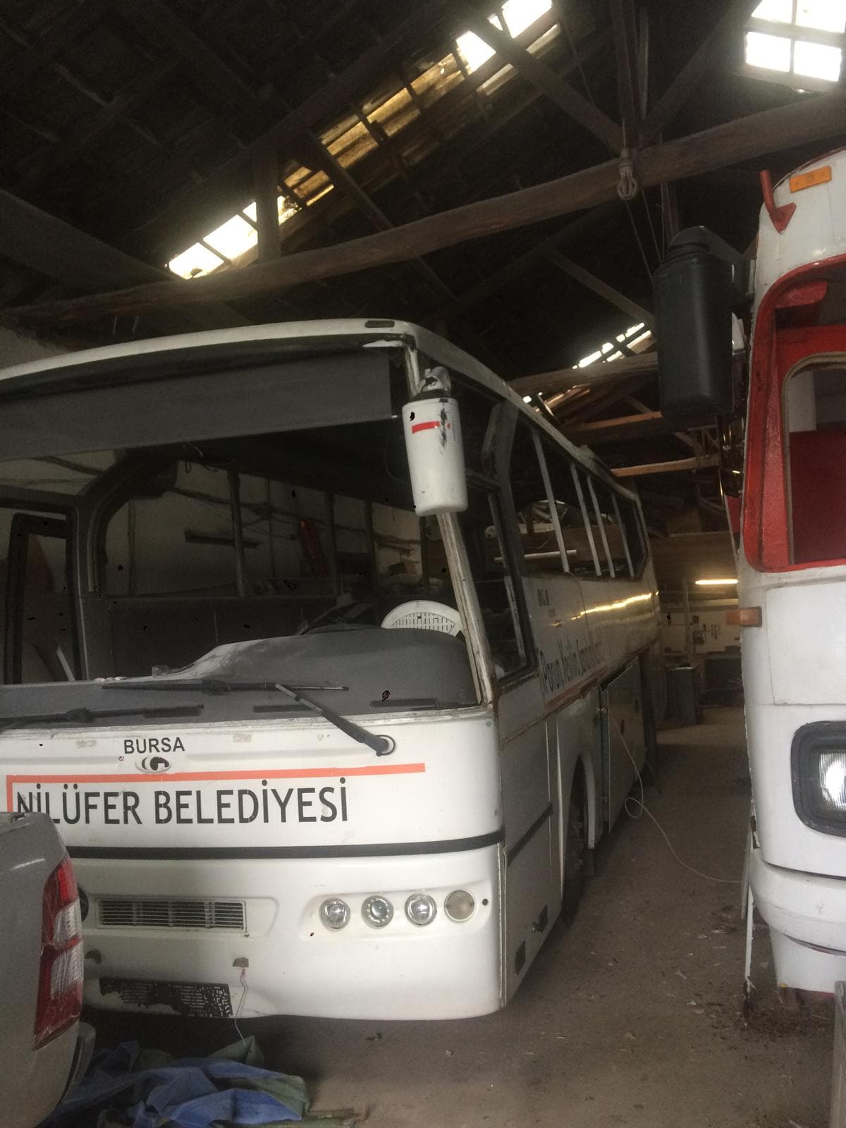 Güleryüz Cobra