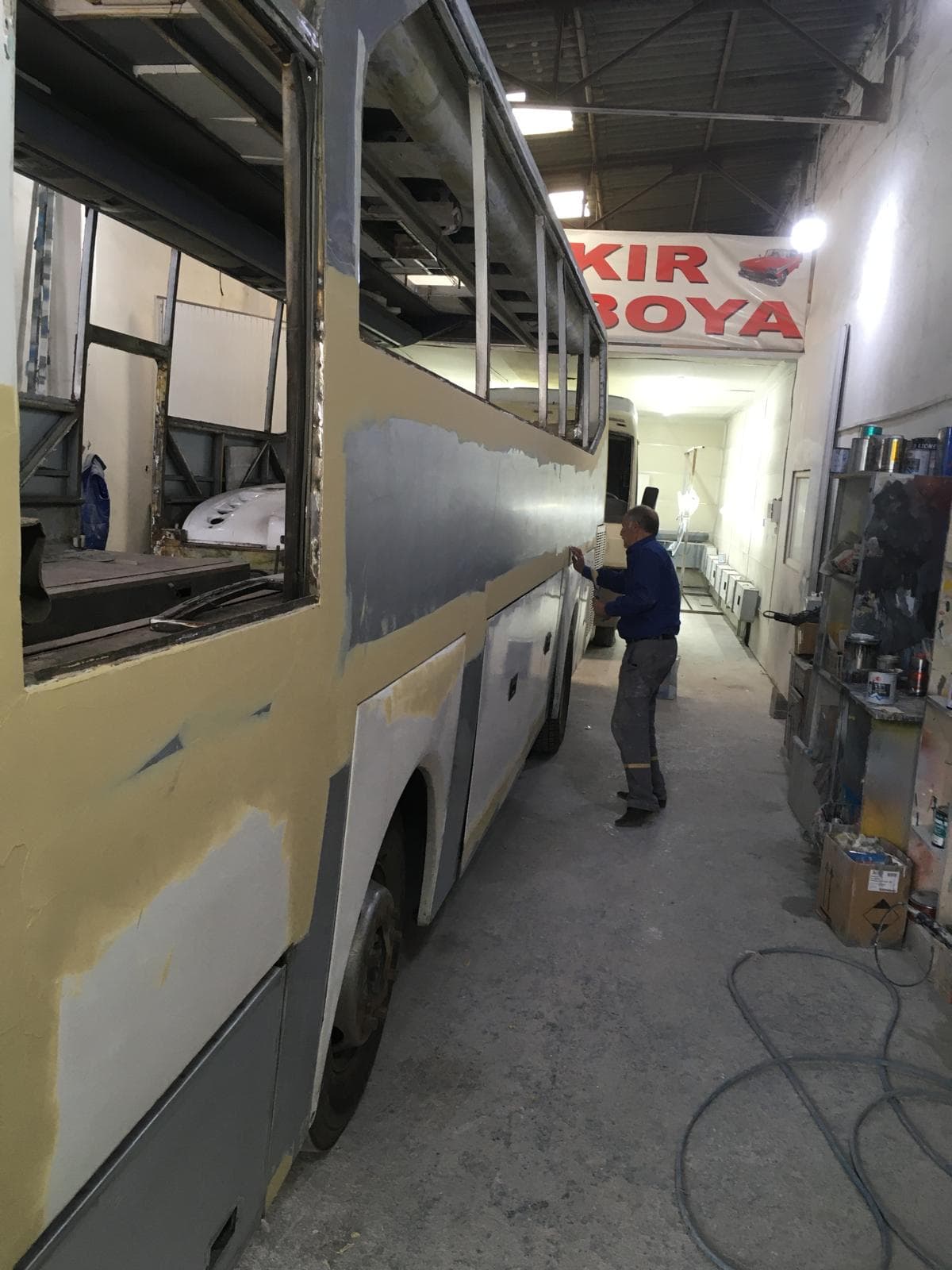 Güleryüz Cobra