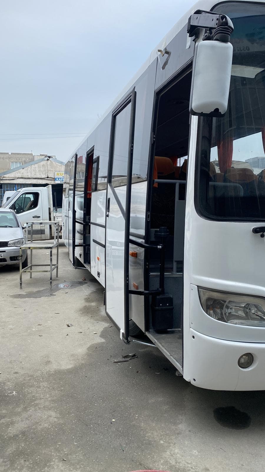 Güleryüz Cobra
