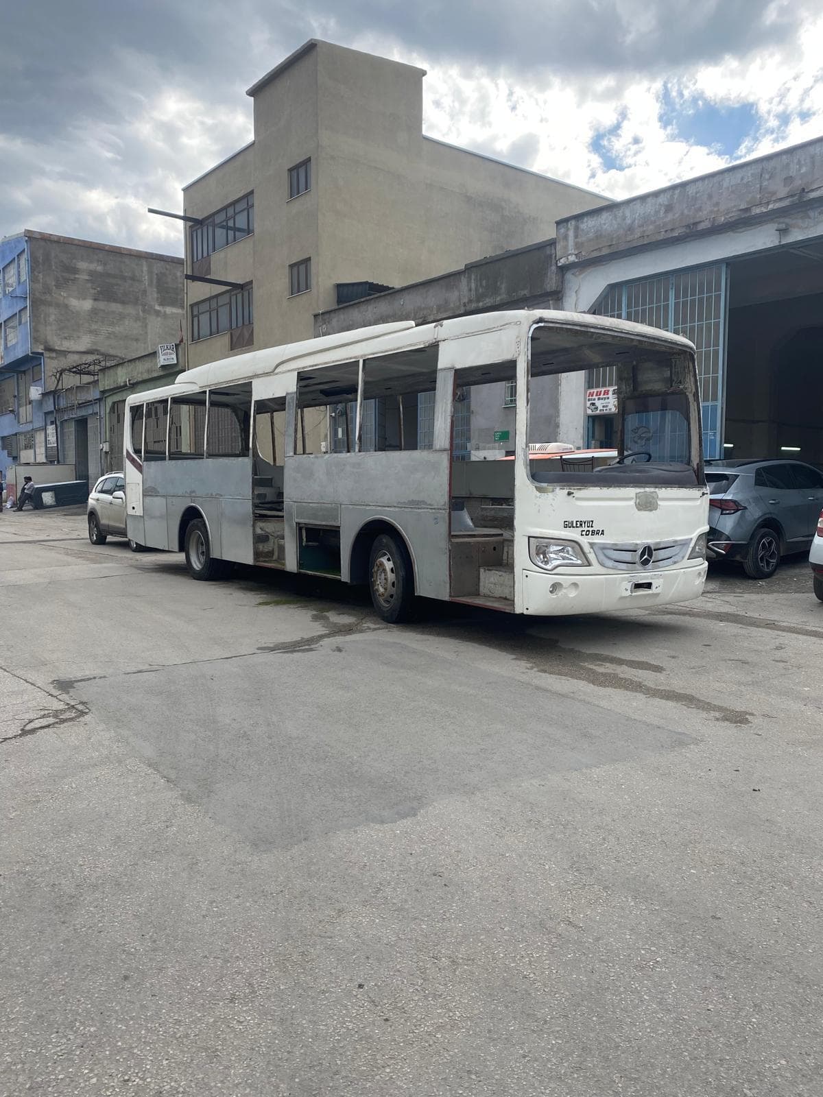 Güleryüz Cobra