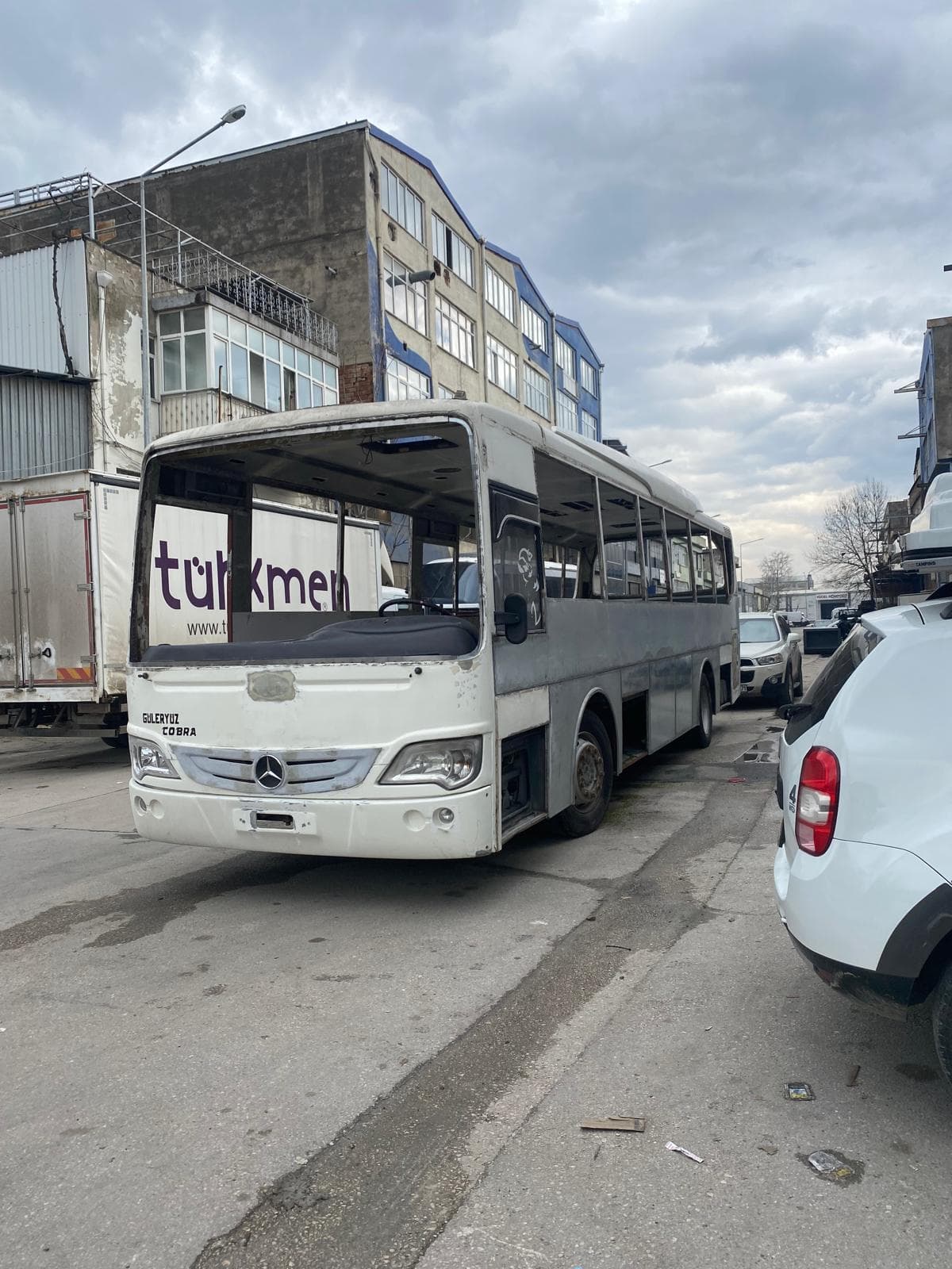 Güleryüz Cobra